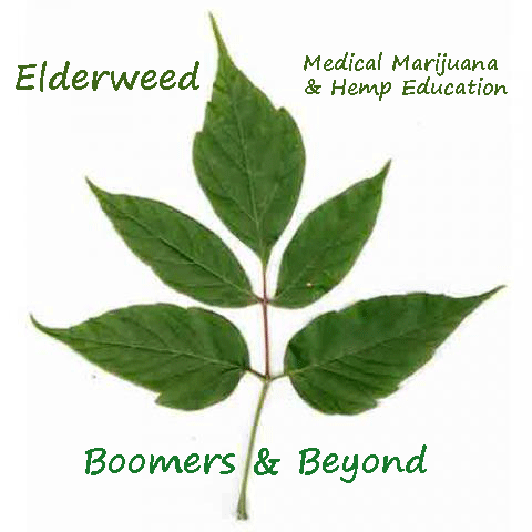Elderweed